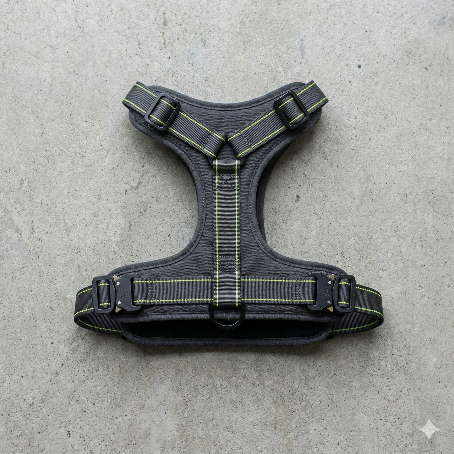 The Apex Minimalist Harness